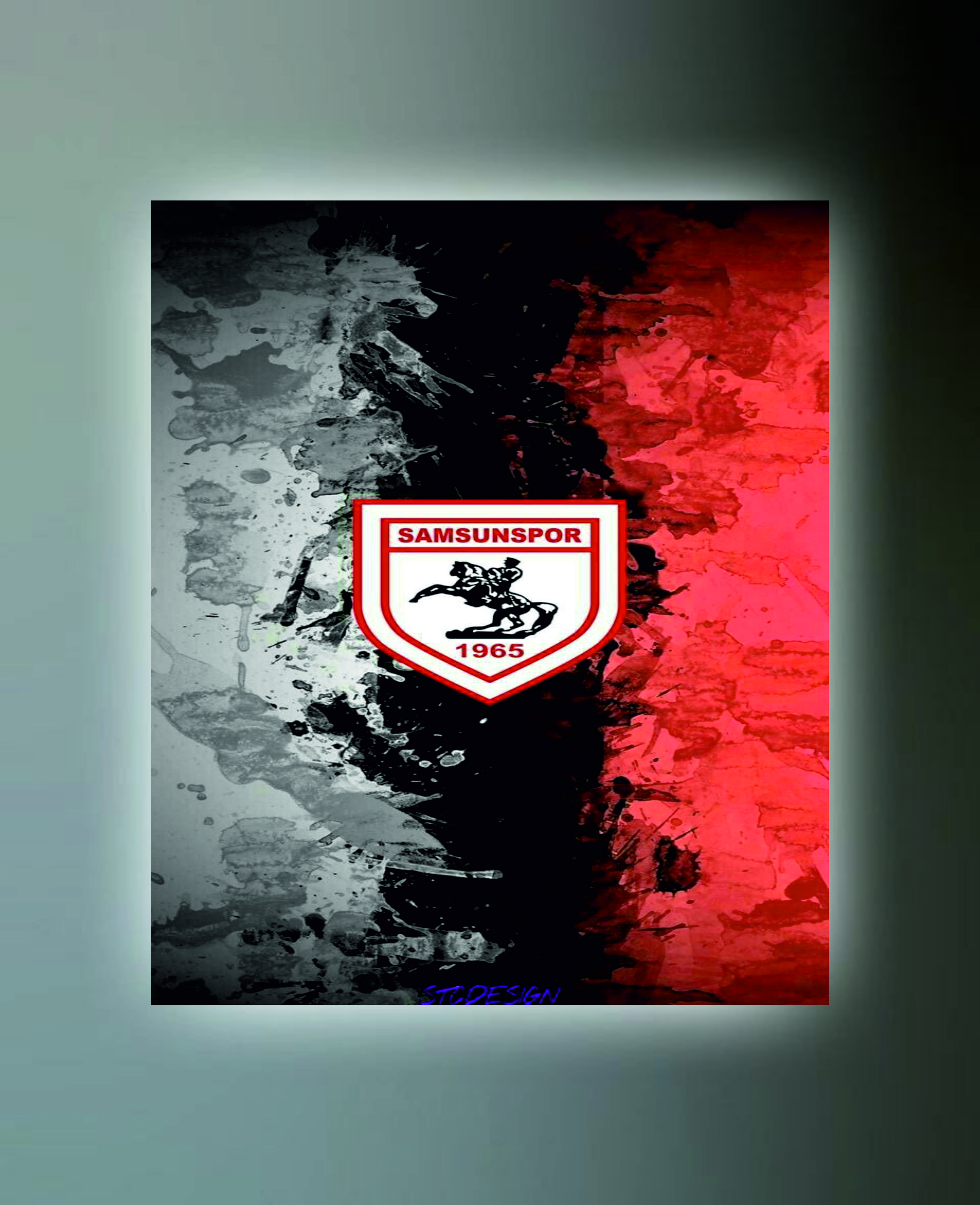 SAMSUNSPOR TABLO (kanvas) 6
