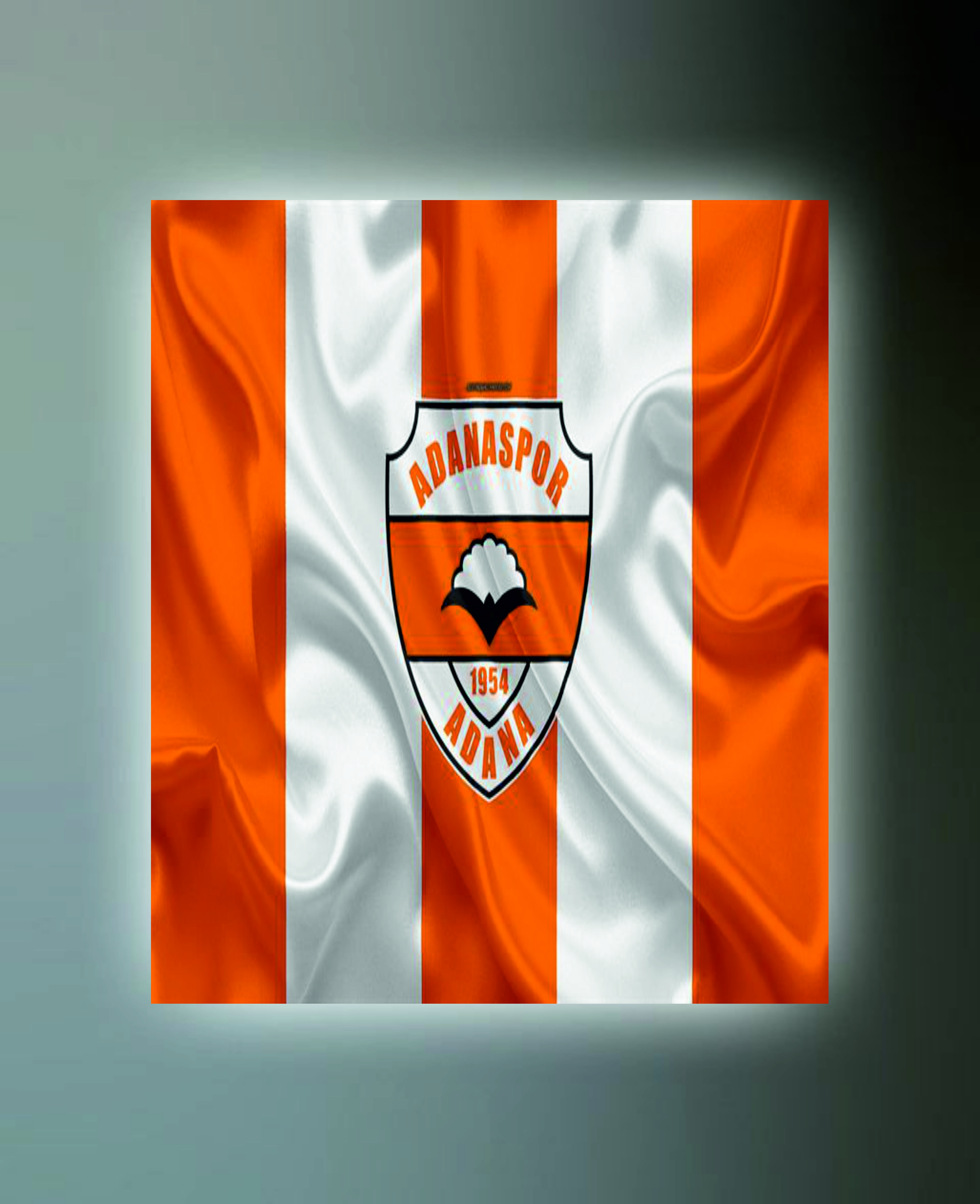 ADANASPOR TABLO (kanvas) 3