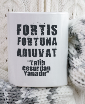 KOMİ KUPA 