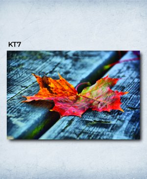 Kanvas Tablolar Yaprak 50x70