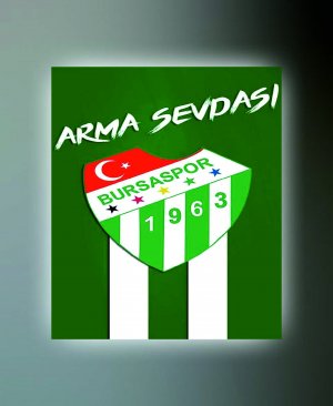 BURSASPOR TABLO 04 50X70