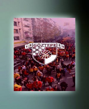 GÖZTEPE TABLO 06 50X70