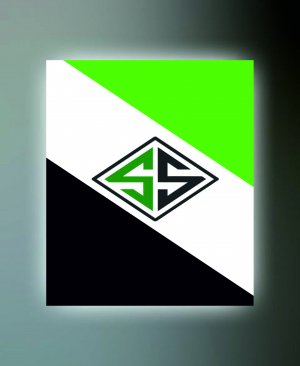 SAKARYASPOR TABLO (kanvas) 1