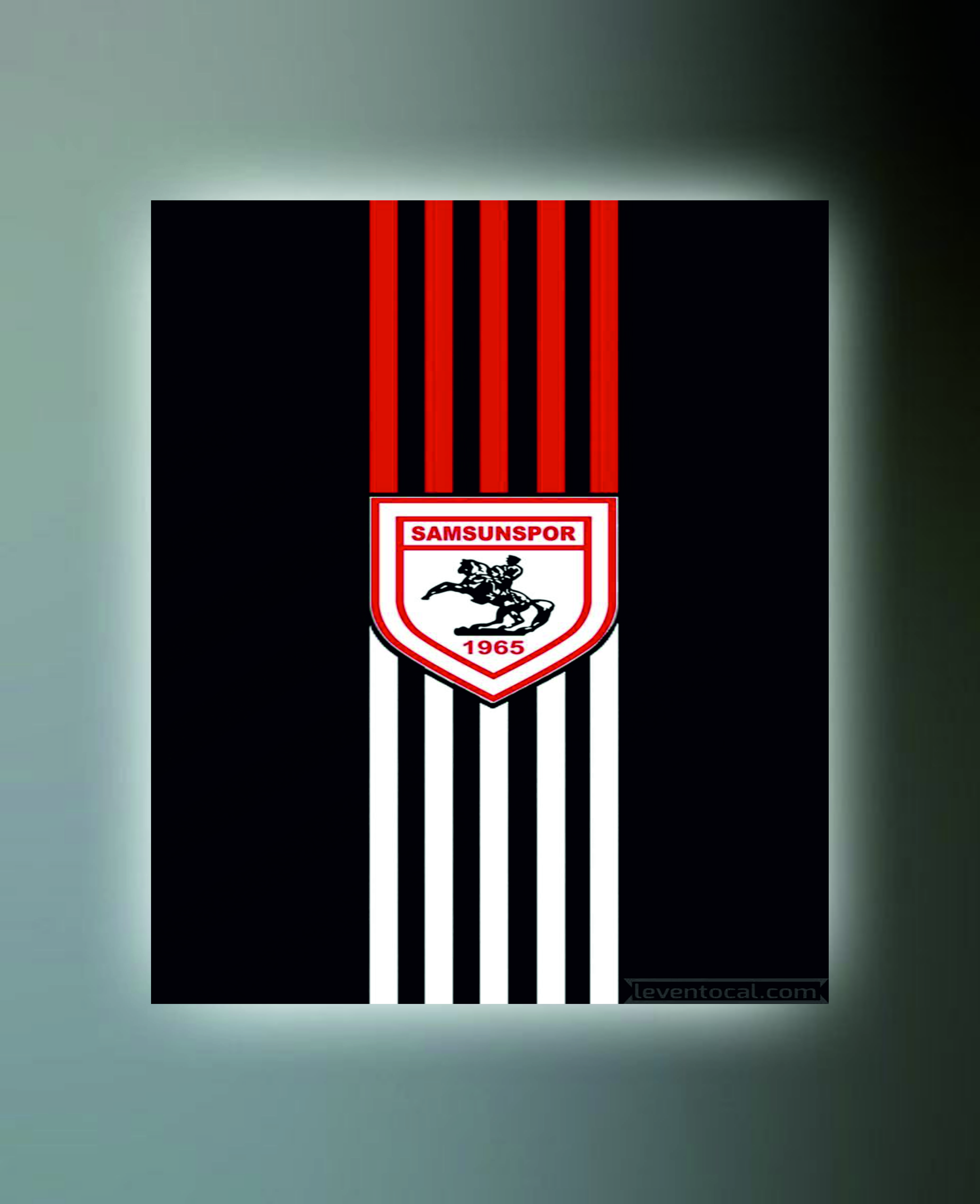 SAMSUNSPOR TABLO (kanvas) 5